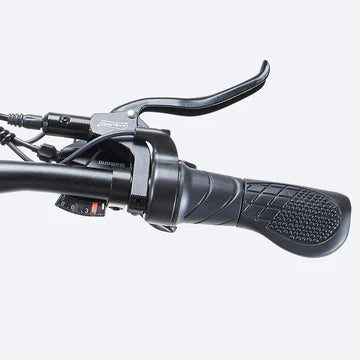 BURCHDA RX80 26" 750W Off Road Fat Tire Elektro-MTB-E-Bike
