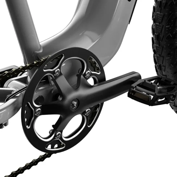 Shengmilo S600 48V 2000W Elektrofahrrad mit Doppelmotor
