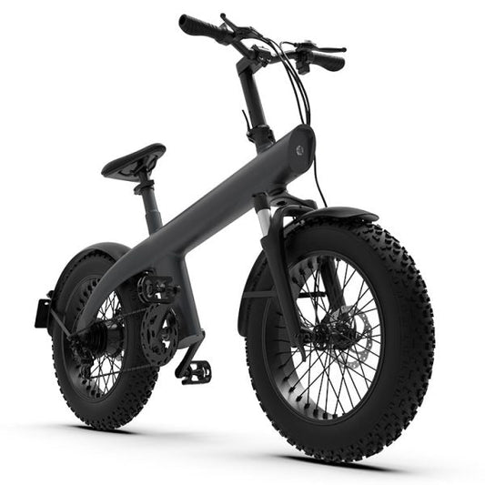 HX Q3 Max Plus 20" elektrisches Mountainbike MTB EBike 750W 13,4Ah