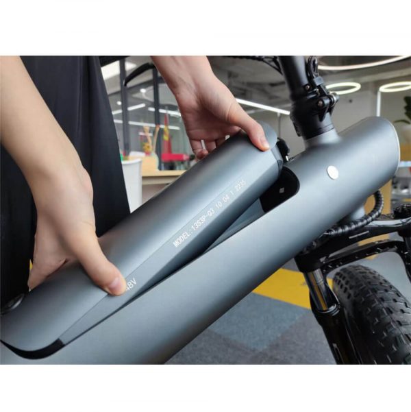 HX Q3 Max Plus 20" elektrisches Mountainbike MTB EBike 750W 13,4Ah