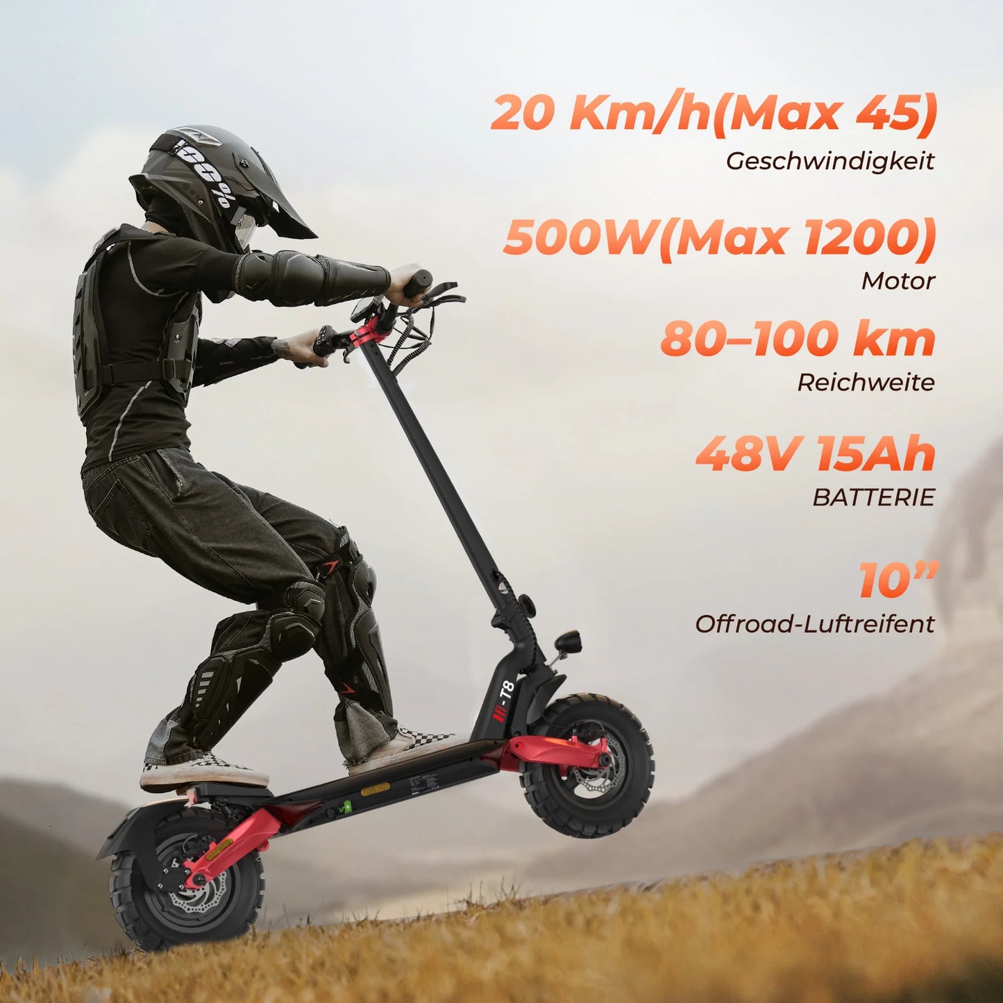 iScooter iX5 10" 1000W Offroad-Elektroroller E-Scooter mit Straßenzulassung